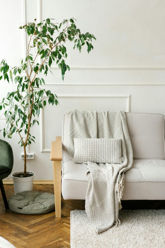 Rent_hus-6